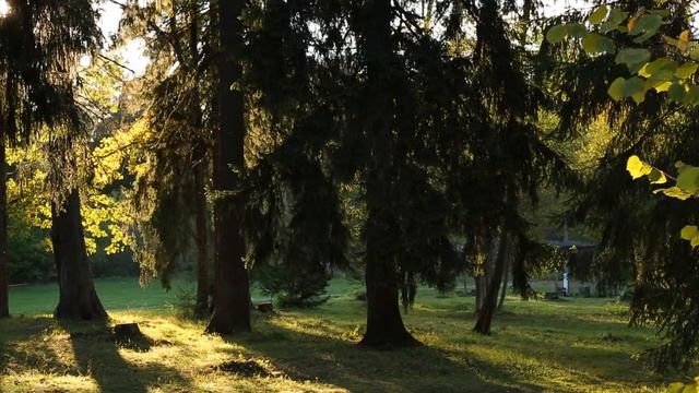 Санатории Подмосковья Минообороны России смотреть онлайн