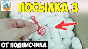 Я в Шоке! Юбилейный Скрепыш! Спиннер и Фишки Гормити от Подписчика. Распаковка Посылки | СПЕЦЗАКАЗ
