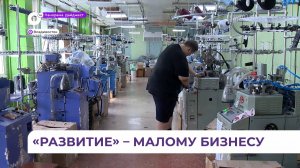 В Приморье запускается новый проект «Развитие» для ведения производственного бизнеса