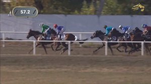 10-я Скачка. Приз Закрытия скакового сезона. Краснодарский ипподром. 15.10.2023