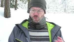 Шекспир, сонет №7