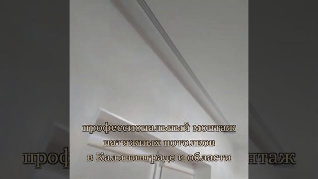 Натяжные потолки в Калининграде смотреть онлайн