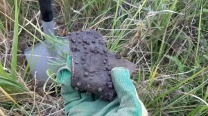 НА ЭТОМ МЕСТЕ Я РАЗБОГАТЕЛ. Коп цветного металла.