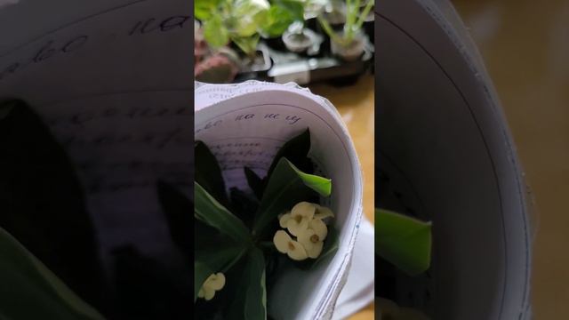 ЯНОЧКА СПАСИБО ...ПОСЫЛОЧКА С АВИТО.... смотреть онлайн