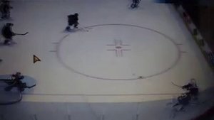NHL 08 gameplay PC