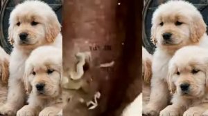 We press huge black dots                       Давим чёрные точки