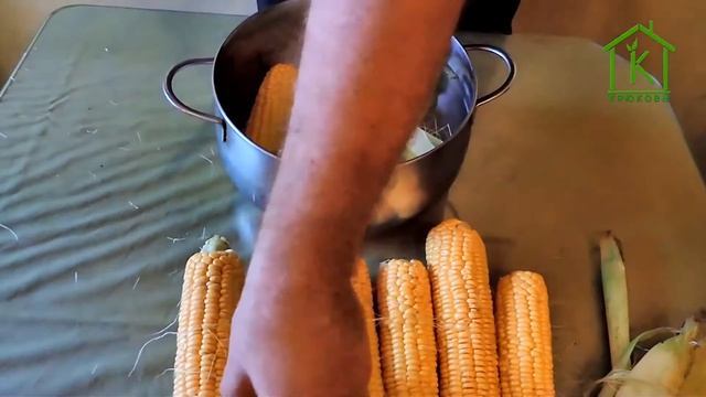 Как сварить любую кукурузу | готовим быстро смотреть онлайн
