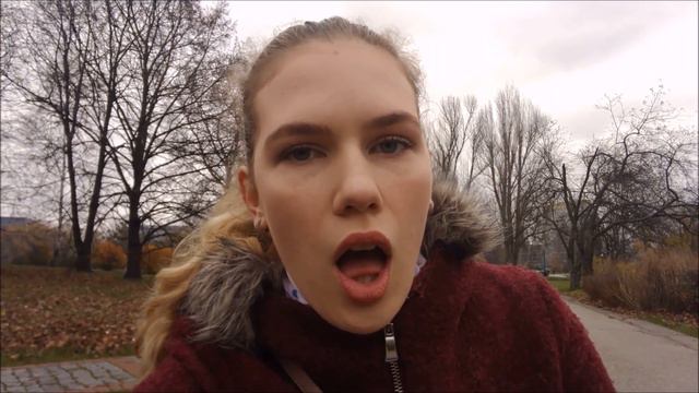 Как быстро выучить польский язык? смотреть онлайн