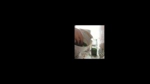 Петрушка как сушить и хранить  Заготовка на зиму