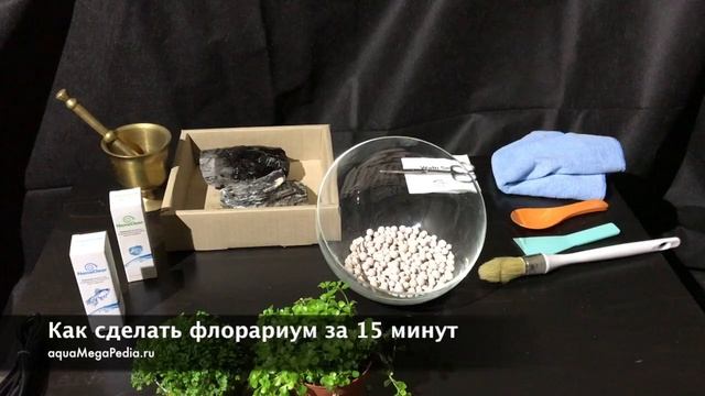 Флорариум своими руками за 15 мин. (пошаговая инструкция)