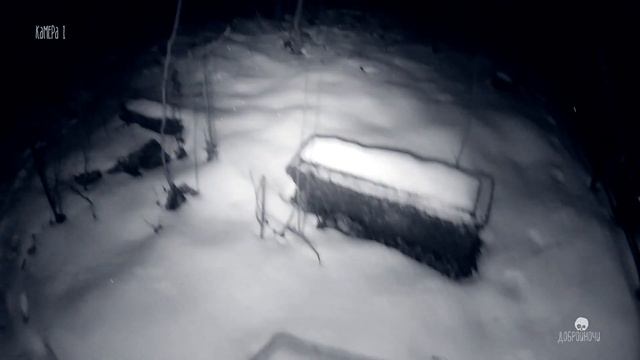 Заброшенное кладбище фон Мекк. Старые могилы. Тула - ДОБРОЙНОЧИ #19