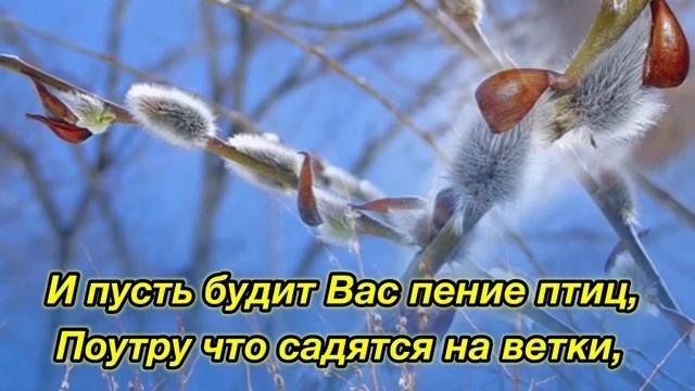С днём рождения в марте поздравление! Красивое музыкальное пожелание в стихах.