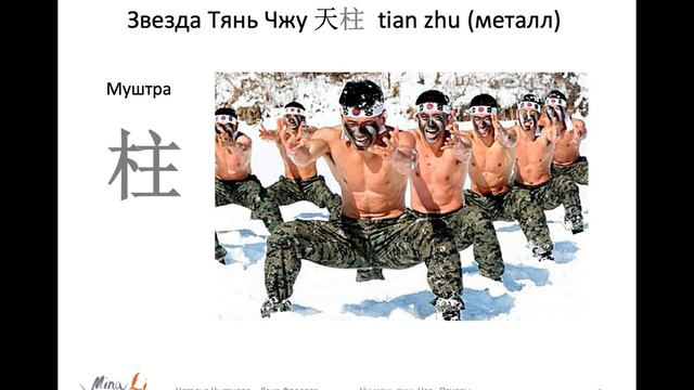 Ци Мэнь Дунь Цзя. Звезды. Небесный Столп, Тянь Чжу