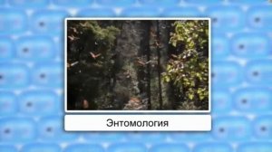 Биология 7 класс урок 1 -  Введение