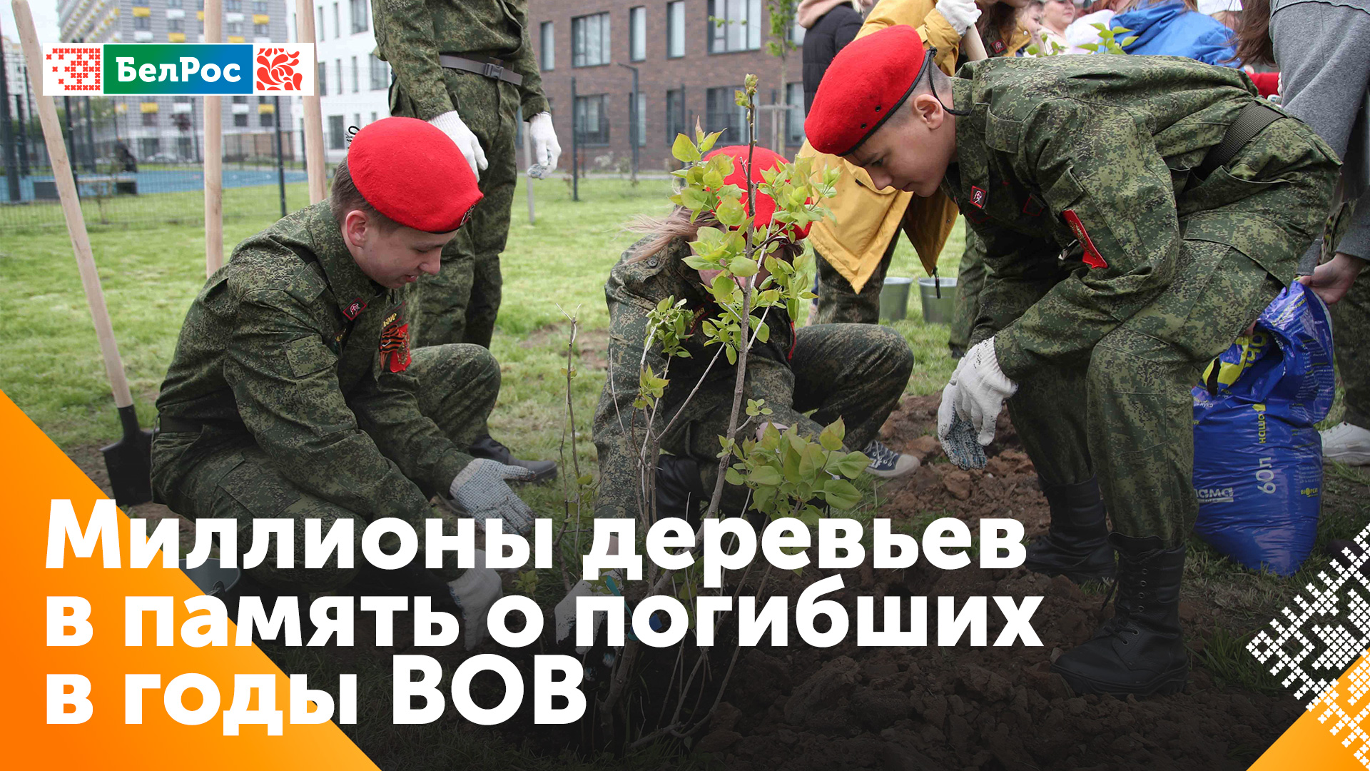 Тысячи деревьев высадили по всей России в память о погибших героях ВОВ и спецоперации