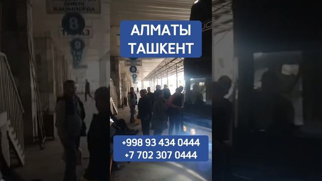 Алматы Ташкент спальный автобус #тошкент #ташкент #автобус