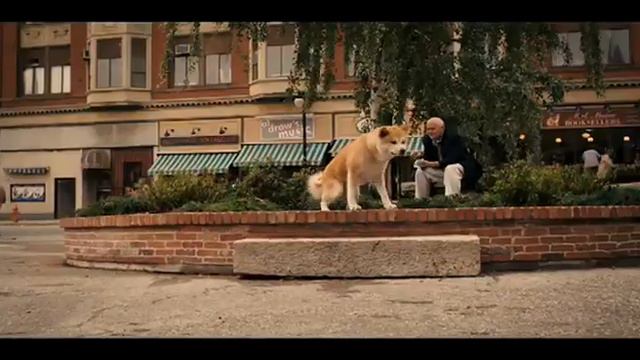 Хатико. Самый верный друг смотреть онлайн