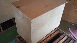 Ставлю самодельные ловушки для роев пчёл на участке