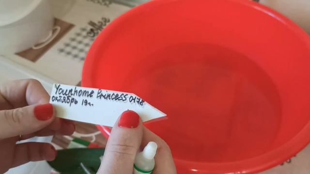 ОРХИДЕИ 98 | СГНИЛИ КОРНИ У ОРХИДЕИ, СПАСАЮ ПРЕПАРАТОМ НВ101 | смотреть онлайн