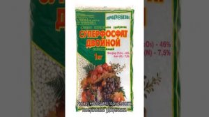 Капуста краснокочанная — выращивание и уход в открытом грунте