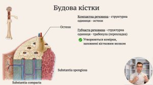 Основи остеології