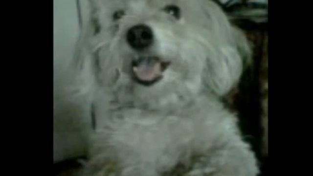 Любимая всегда буду любить и скучать по тебе:** смотреть онлайн