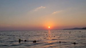 Отдых в Шепси. Малолюдный пляж и чистое море. (Папа Может)