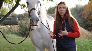 Фотосессия с лошадью. Опасно ли фотографироваться с лошадьми?