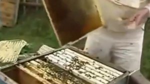 Зимовка пчёл по Норвежски. Часть 2