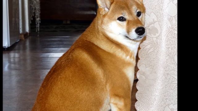 уж замуж невтерпеж смотреть онлайн