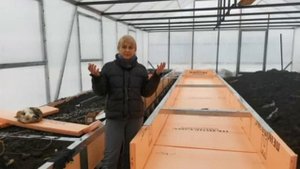 Вторая подвесная грядка. Эксперименты в теплице.