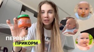 ПЕРВЫЙ ПРИКОРМ В 5.5 МЕСЯЦЕВ | Наша история | vlog
