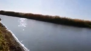 Рыбалка село шабар. Павлодарская область