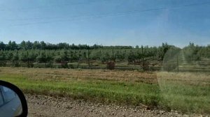 12 Свадебное путешествие Должанская отель Ундина
