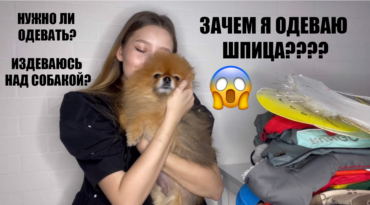 ШПИЦ ТОБИ|ЗАЧЕМ Я ОДЕВАЮ ТАКУЮ ПУШИСТУЮ СОБАКУ!?!?!