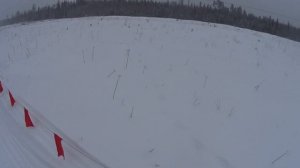 Загонная охота на волка.