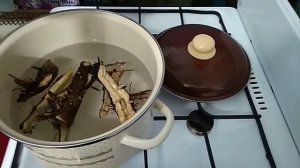 Корни подсолнуха его лечебные свойства и способ приготовления.
