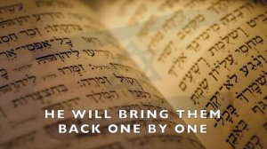 ARISE (from Ashes to Glory) - Elihana Elia