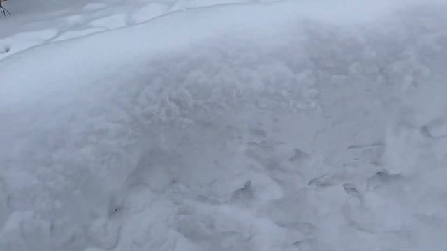 Стройка базы из снега часть 1 смотреть онлайн