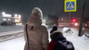345/Покупки с ярмарки.Идём по метели.