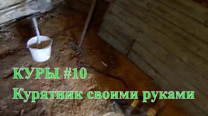 Курятник своими руками //  Куры#10.