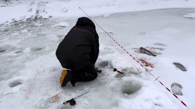 Голицыно Fish смотреть онлайн
