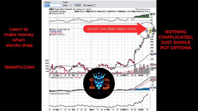 HOW LOW WILL IT GO? SMCI PUT OPTIONS ENTRIES AND EXITS ON THE CHART