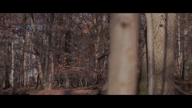 Bell Descender Goggle 2020 - EDIT #1 | TrailTouch смотреть онлайн