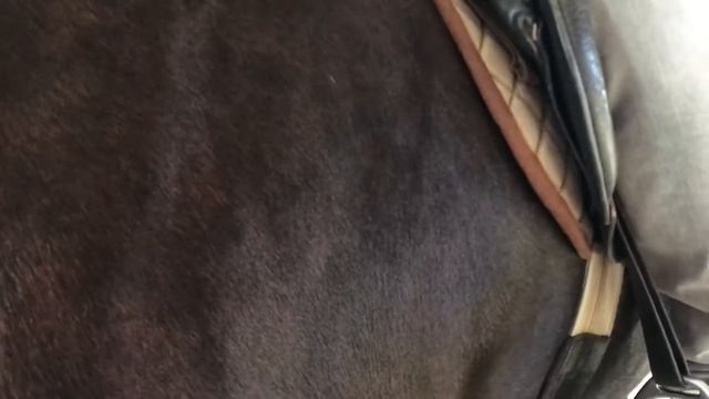 ВПЕРВЫЕ НА КОНЕ смотреть онлайн