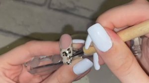 Easy Guide To Animal Print Nail Art | Beginner Friendly