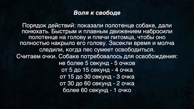 Научная работа. Проверка на интеллект собаки. ЛАБРАДОР. Чарли. смотреть онлайн