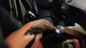 УАЗ Профи! #4 Мнение владельца Уаз