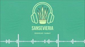 La música de las plantas - Sansevieria