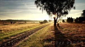 «Ты забыла где швабра? Сидишь на моей шее и только тратишь» Но от ее ответа…